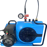 浩誠綠升充氣泵具有以下特點